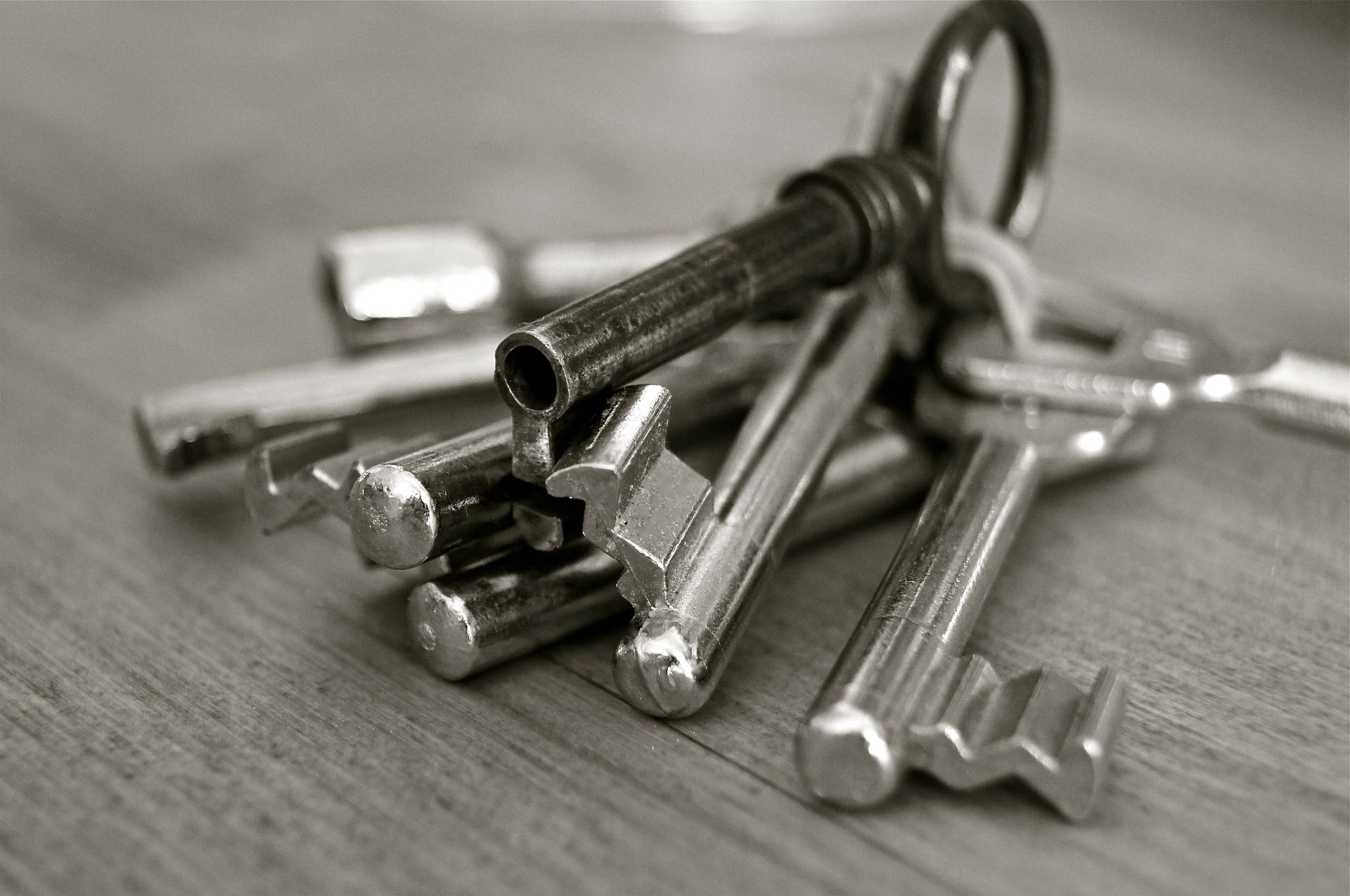 Texto de Odoo y bloque de imagen